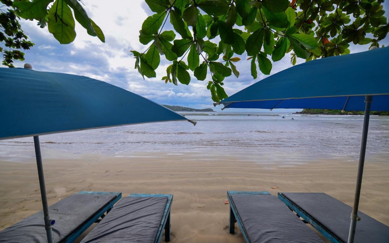 Palm Leaf Surf Cafe Hotel Galle Exterior photo